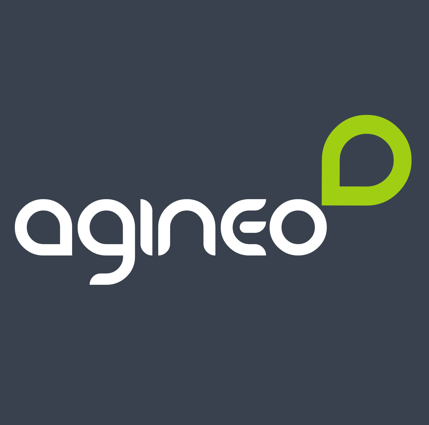 Logo_Agineo.jpg