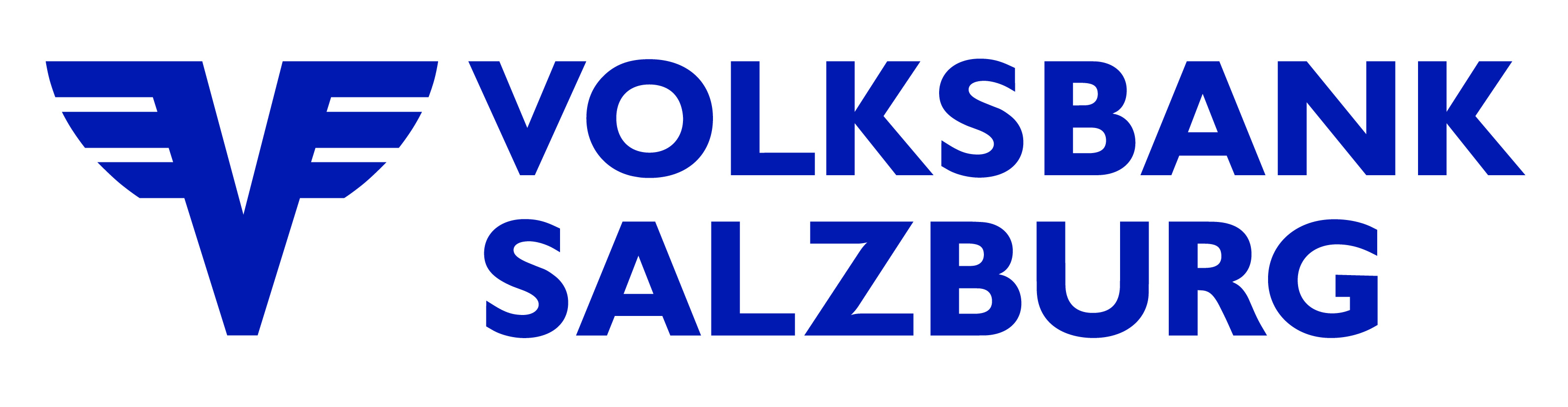 VBS-Logo_RGB.jpg